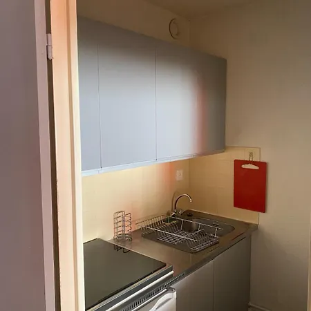 De 33m2 A 150 M Des Pistes * Ла-Монжи